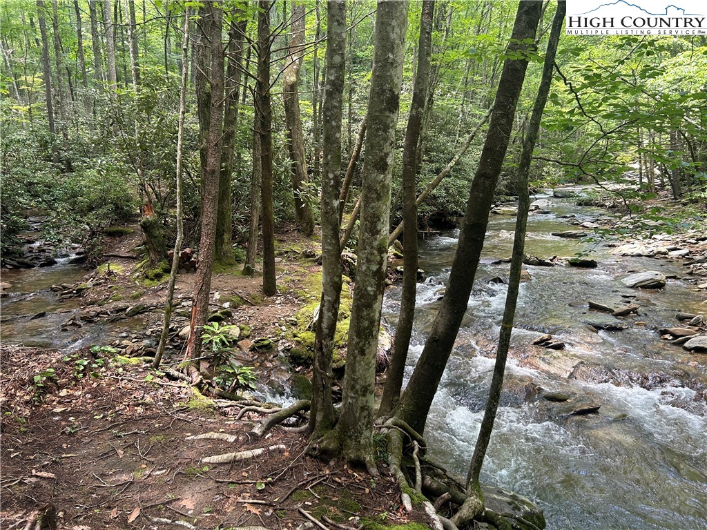 289 Ninebark Road Property Photo 6