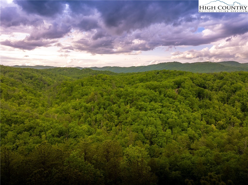 289 Ninebark Road Property Photo 8