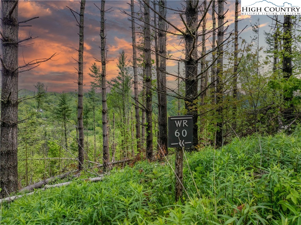 Wr-60 Clouds Rest Drive Property Photo 1