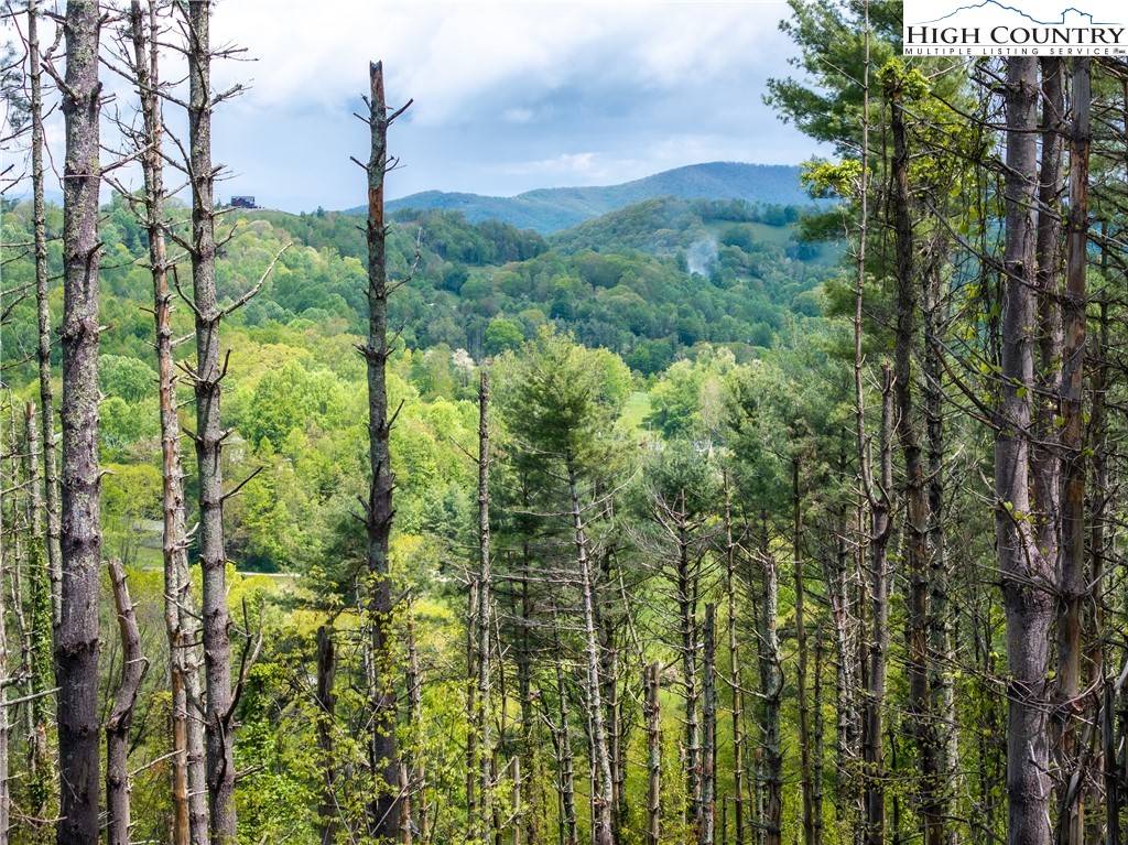 Wr-60 Clouds Rest Drive Property Photo 2