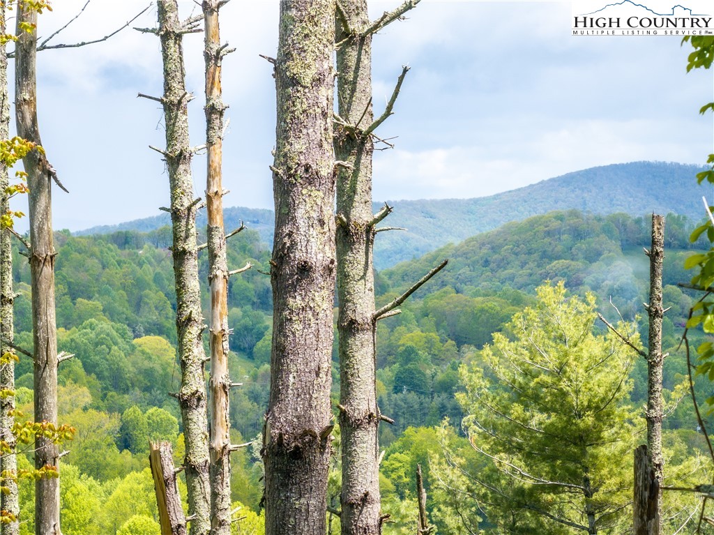 Wr-60 Clouds Rest Drive Property Photo 4