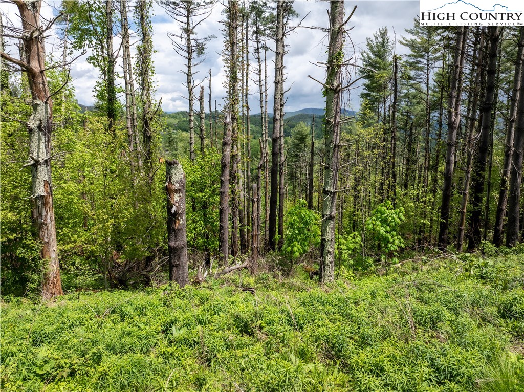 Wr-60 Clouds Rest Drive Property Photo 5