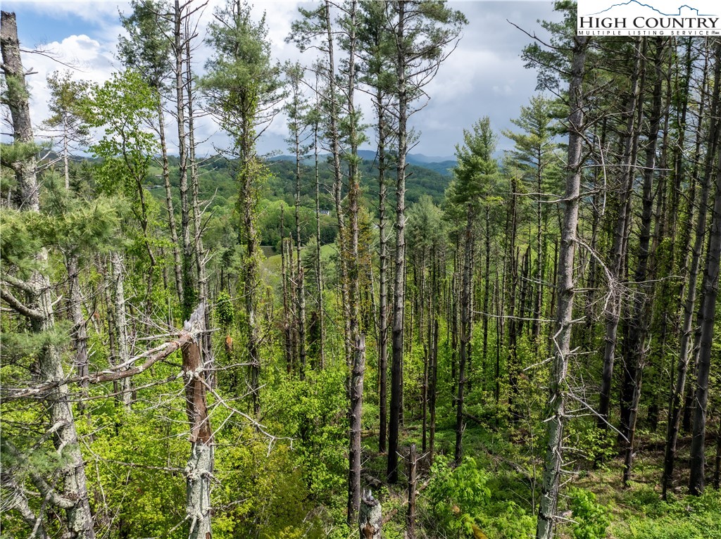 Wr-60 Clouds Rest Drive Property Photo 6