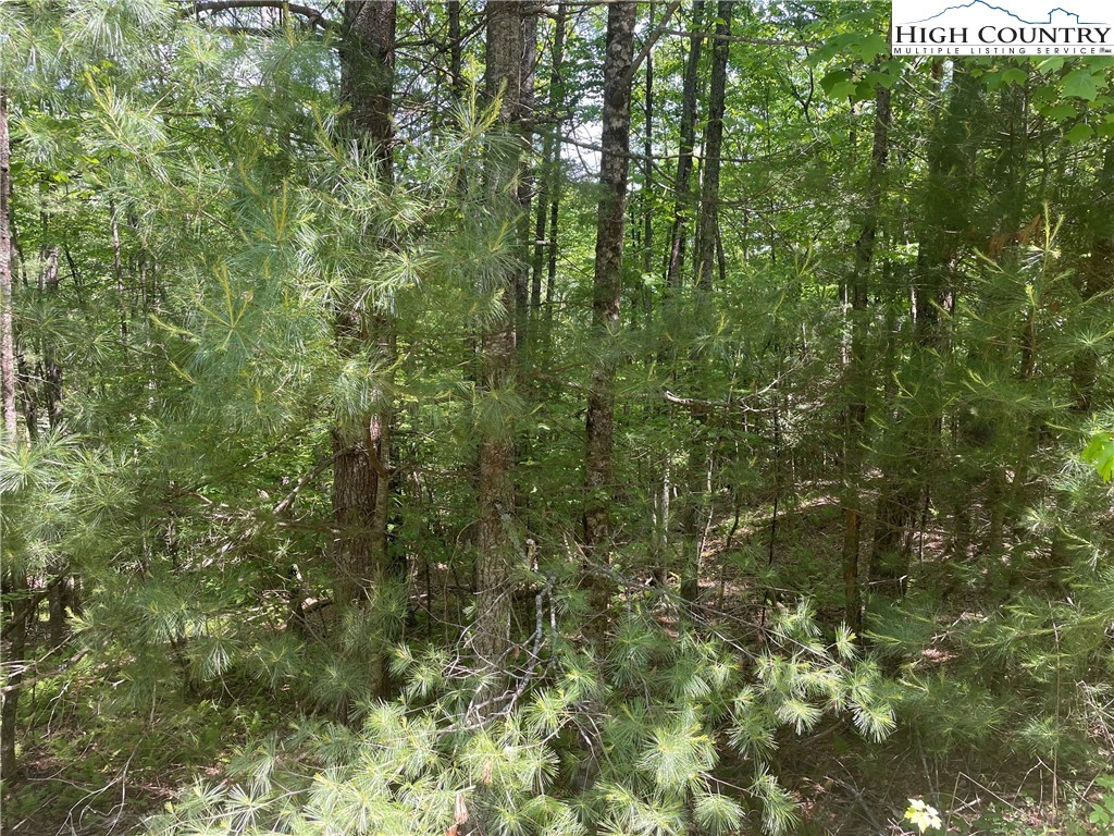 Lots 55 & 57 Meadow Crest Drive Property Photo 4