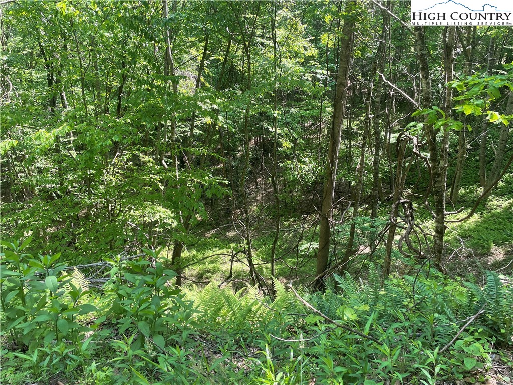 Lots 55 & 57 Meadow Crest Drive Property Photo 10