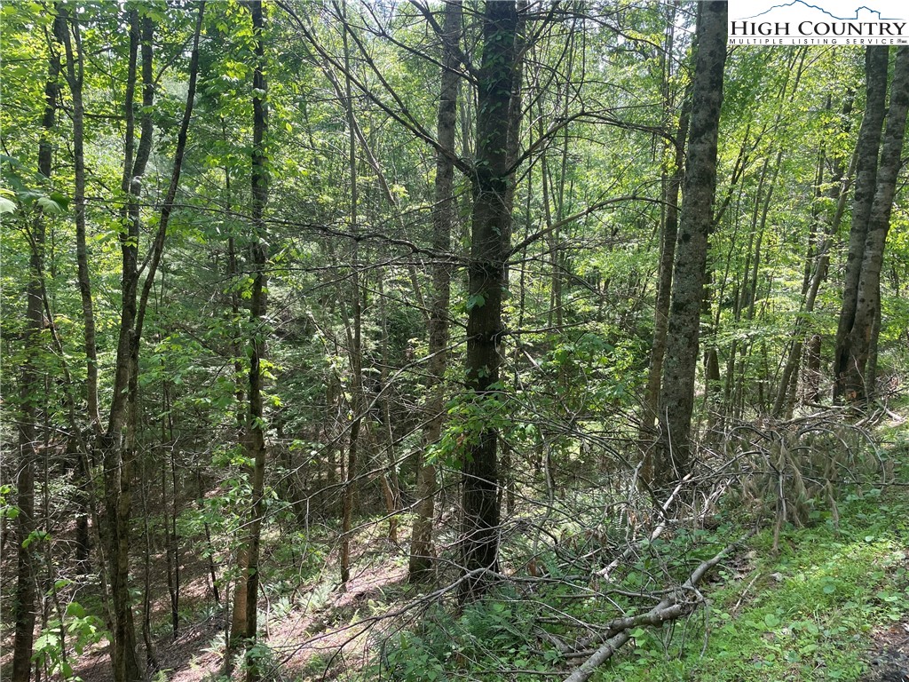 Lots 55 & 57 Meadow Crest Drive Property Photo 11