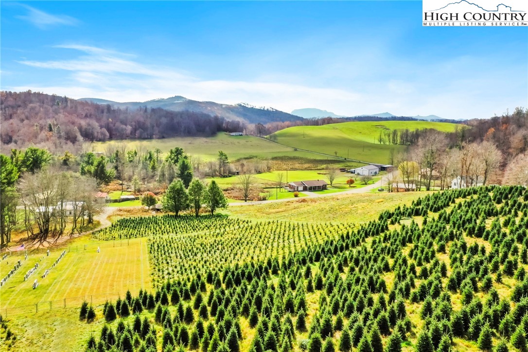 6104 Howards Creek Road Property Photo 1