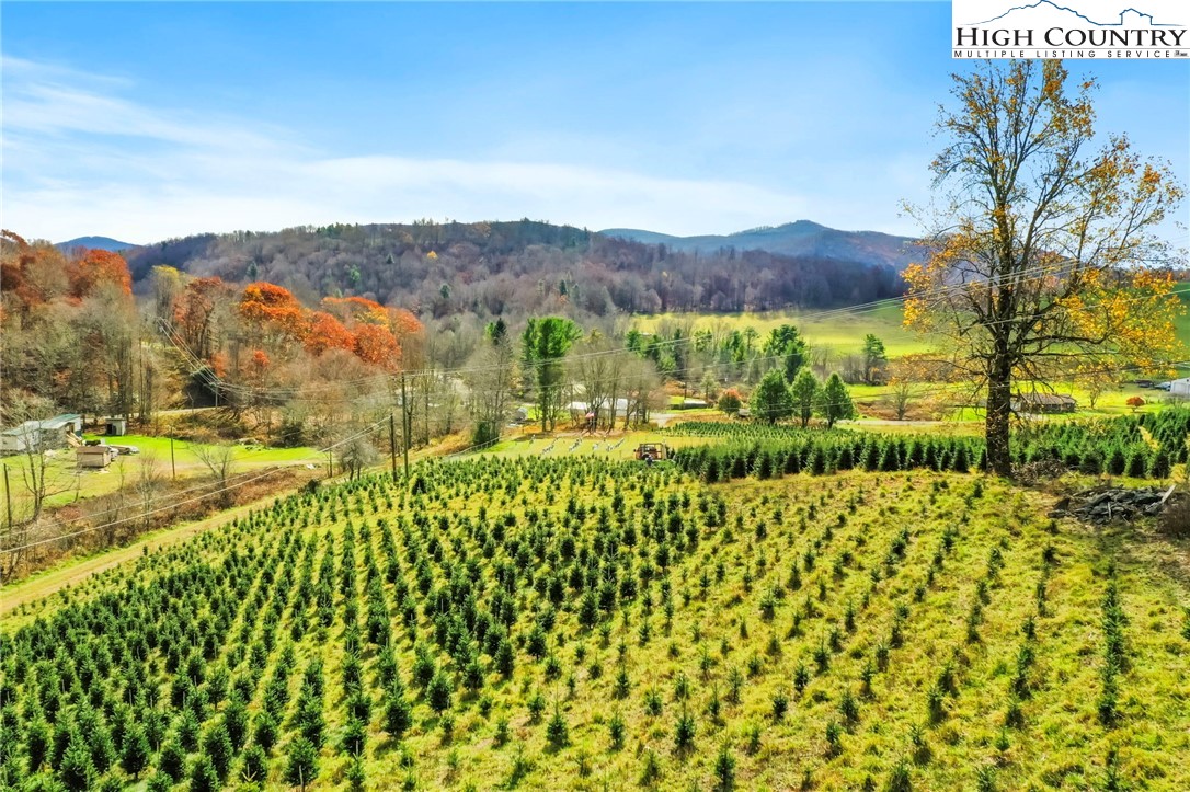 6104 Howards Creek Road Property Photo 4