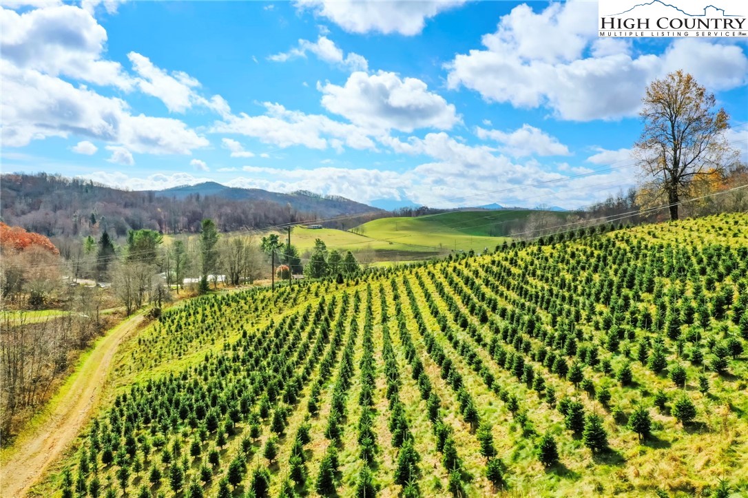 6104 Howards Creek Road Property Photo 5