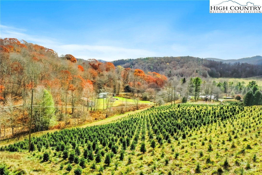 6104 Howards Creek Road Property Photo 6