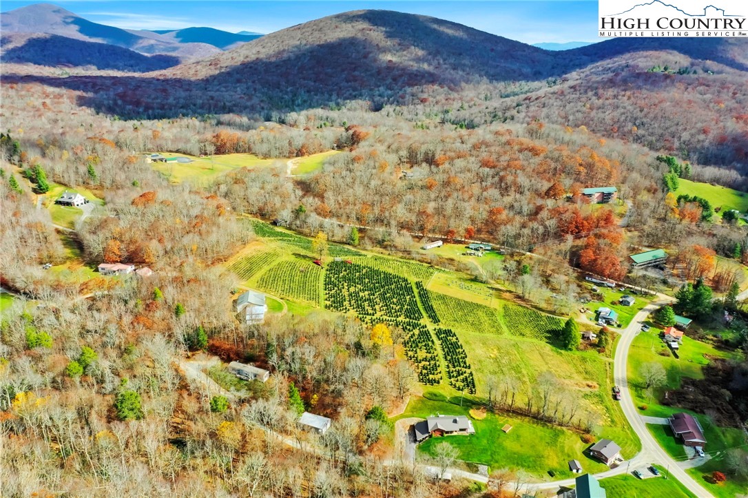 6104 Howards Creek Road Property Photo 10