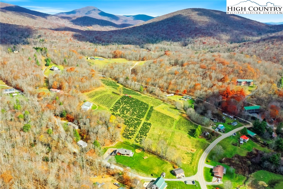 6104 Howards Creek Road Property Photo 11