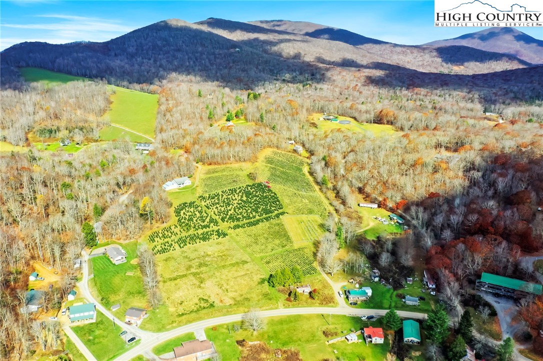 6104 Howards Creek Road Property Photo 13