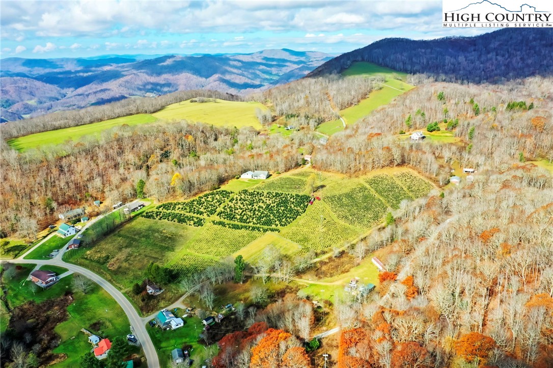 6104 Howards Creek Road Property Photo 15