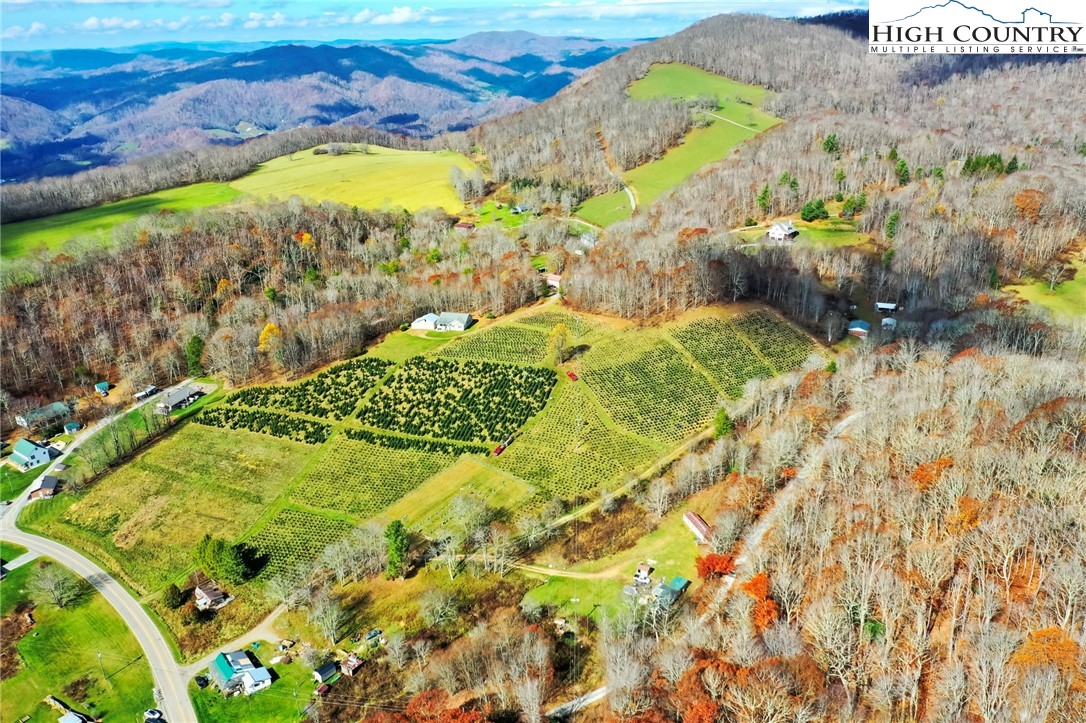 6104 Howards Creek Road Property Photo 17