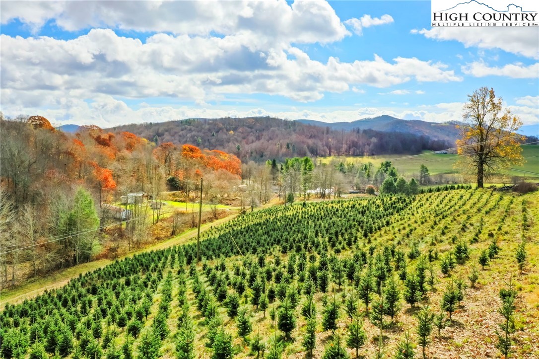 6104 Howards Creek Road Property Photo 18