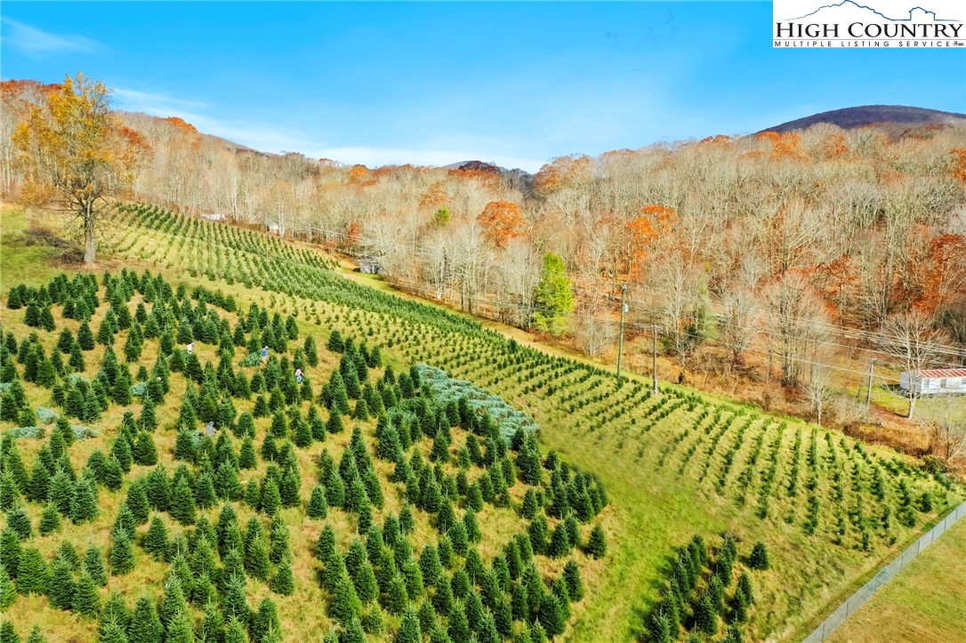 6104 Howards Creek Road Property Photo 20