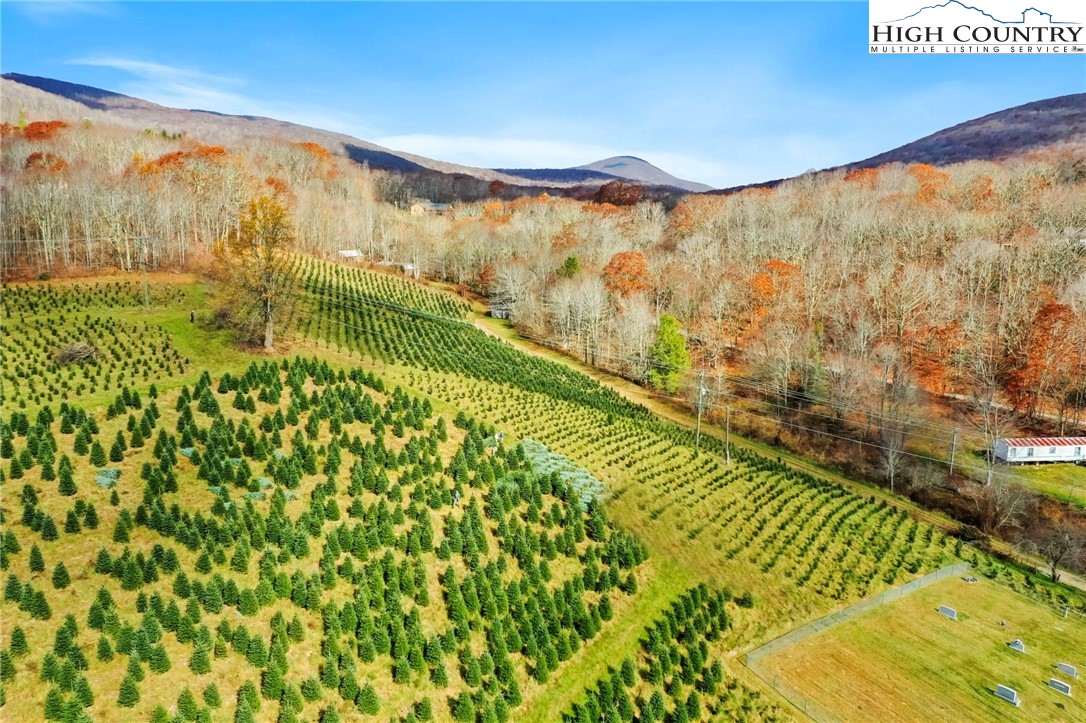 6104 Howards Creek Road Property Photo 21