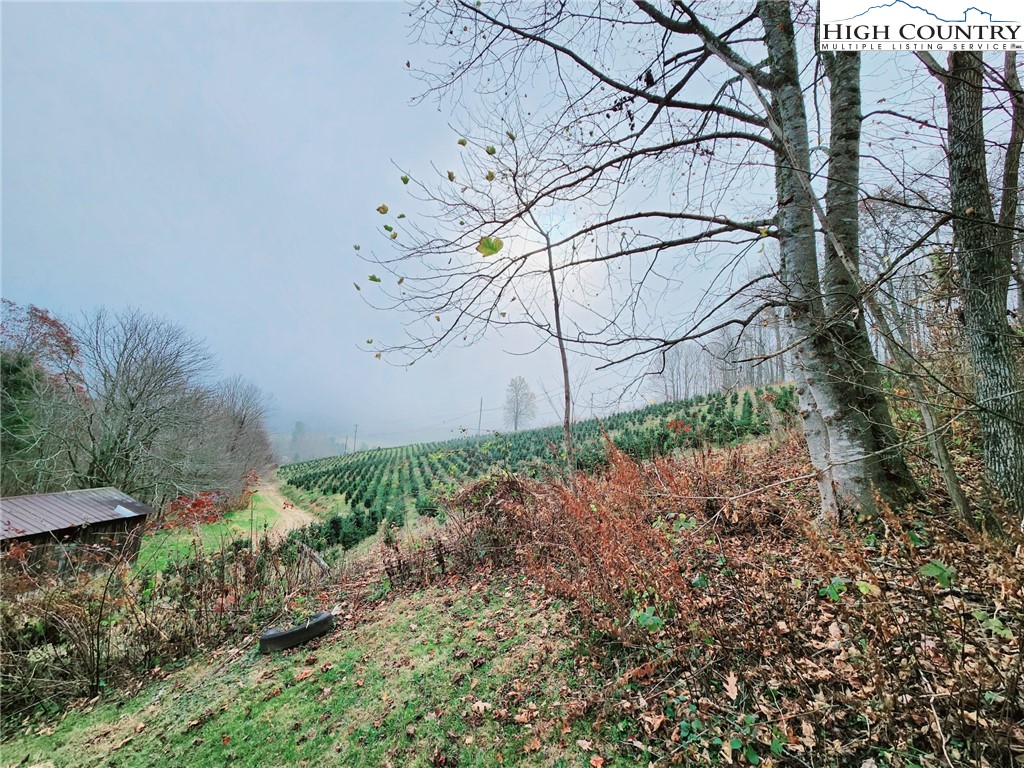 6104 Howards Creek Road Property Photo 36