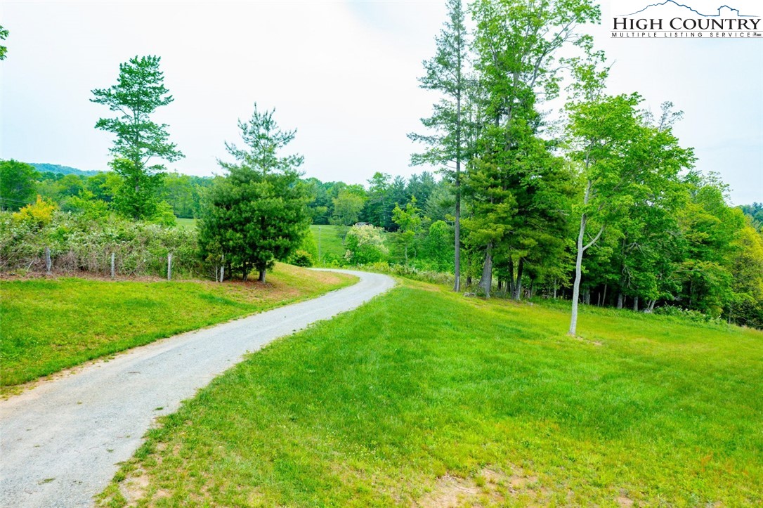 Tbd Hwy. 21 South Property Photo 10