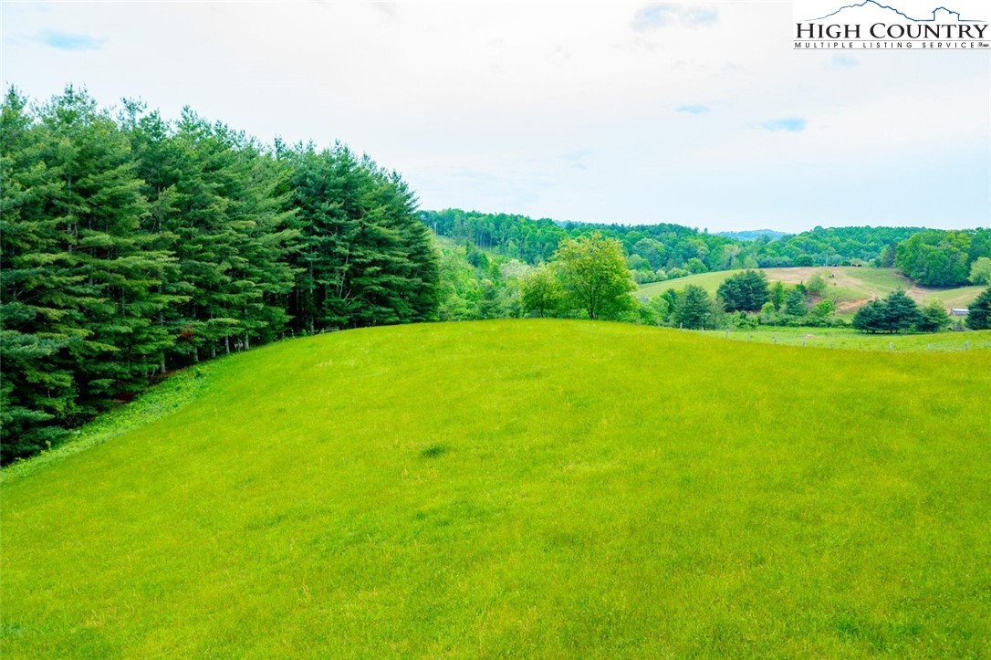 Tbd Hwy. 21 South Property Photo 12