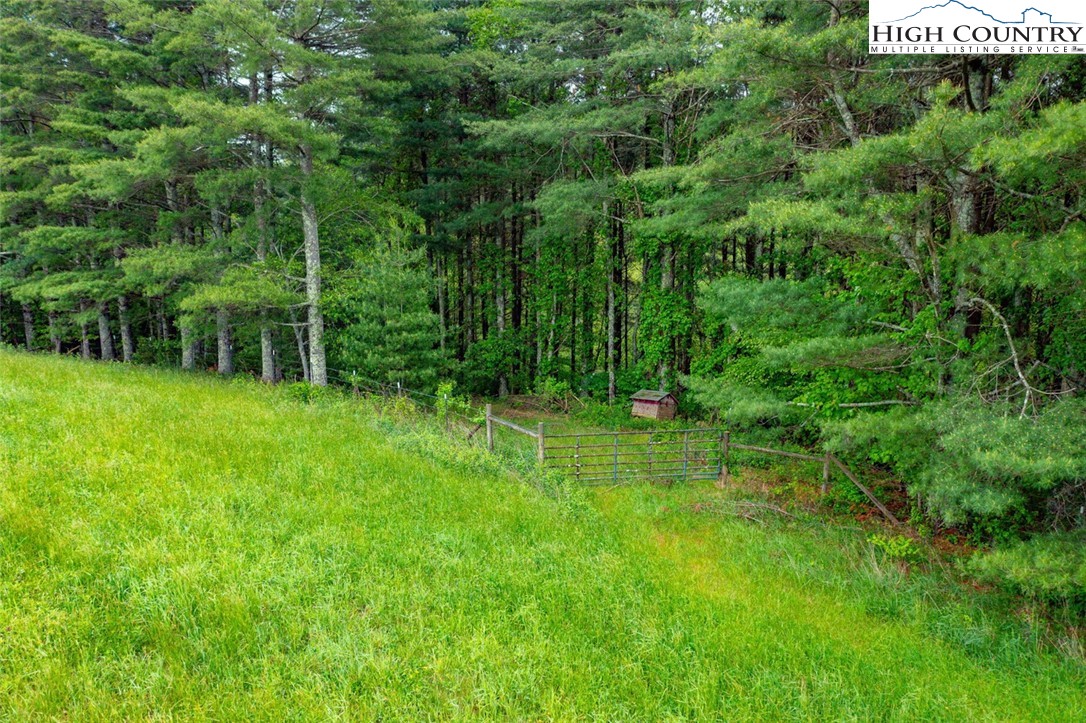 Tbd Hwy. 21 South Property Photo 13