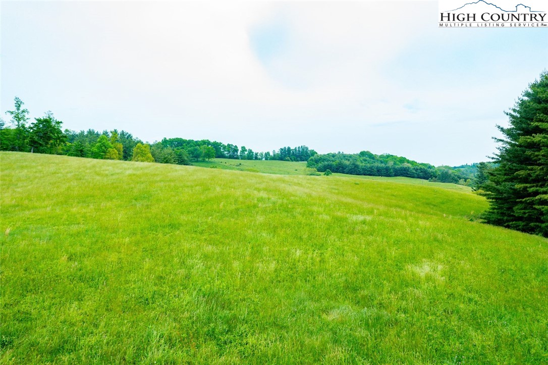 Tbd Hwy. 21 South Property Photo 14