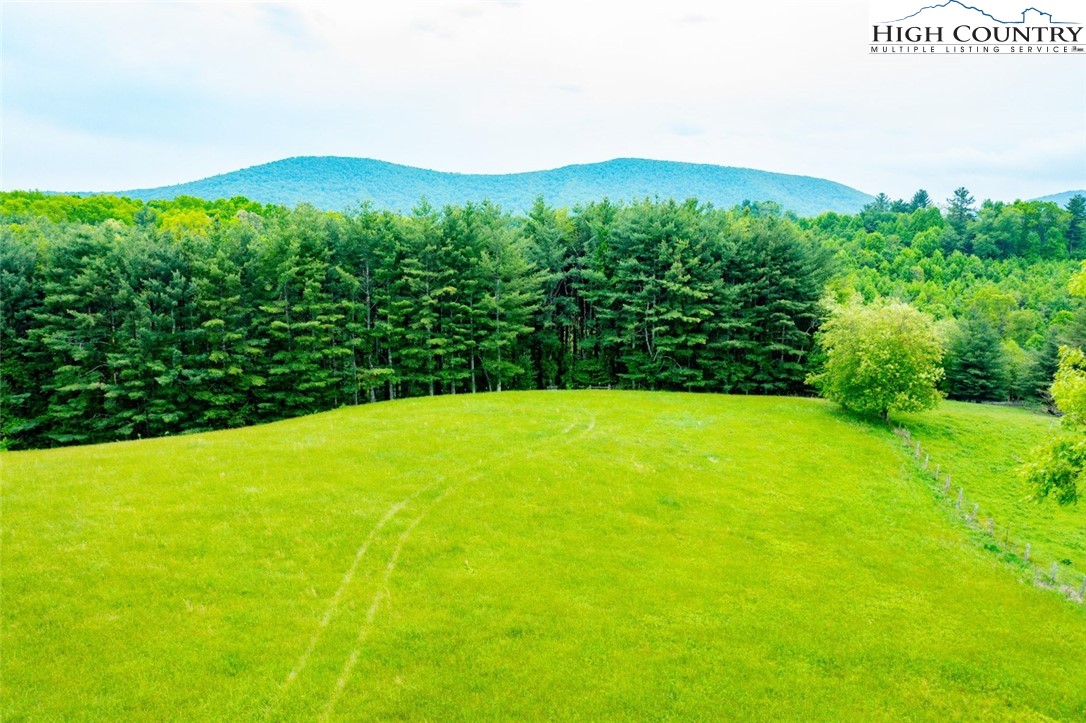 Tbd Hwy. 21 South Property Photo 19