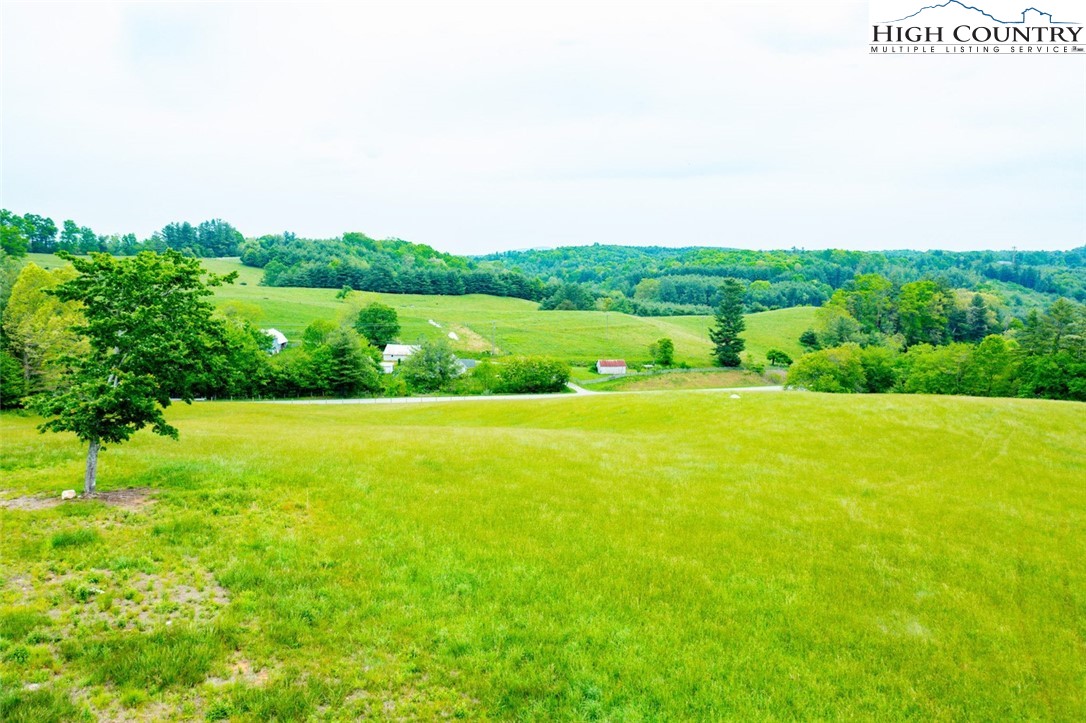 Tbd Hwy. 21 South Property Photo 20