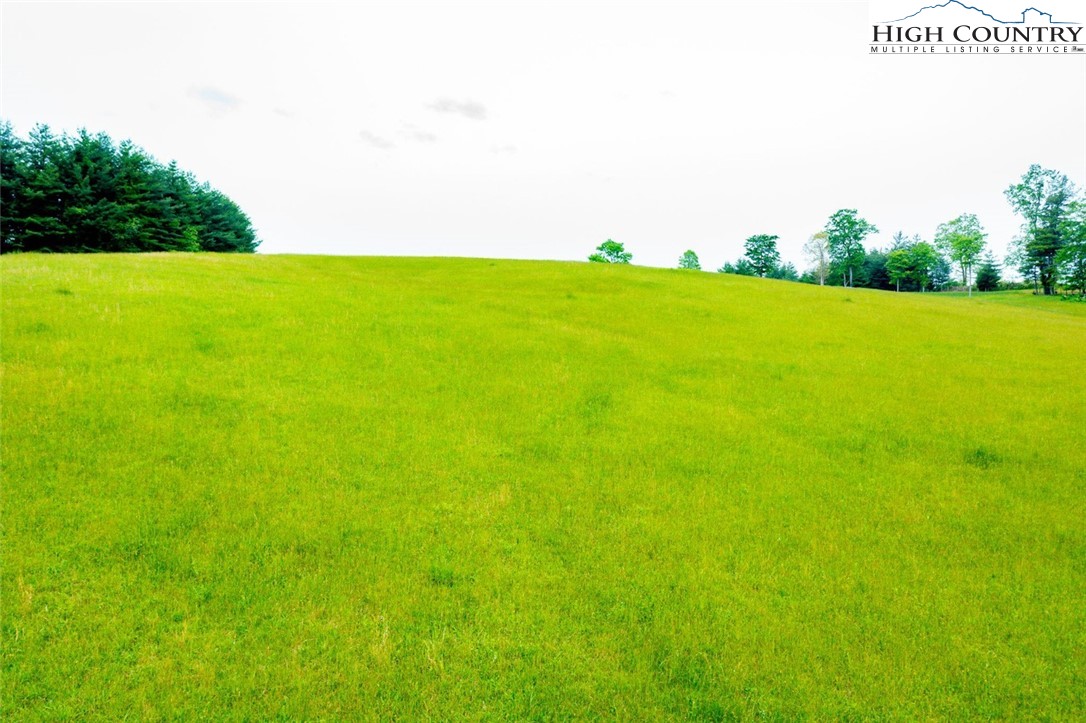 Tbd Hwy. 21 South Property Photo 26