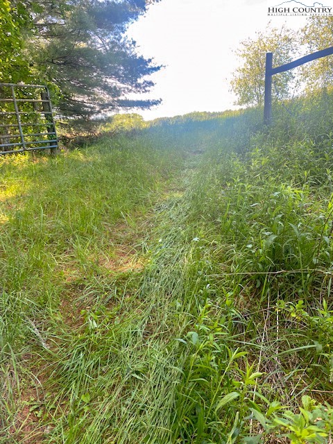 Tbd Hwy. 21 South Property Photo 27