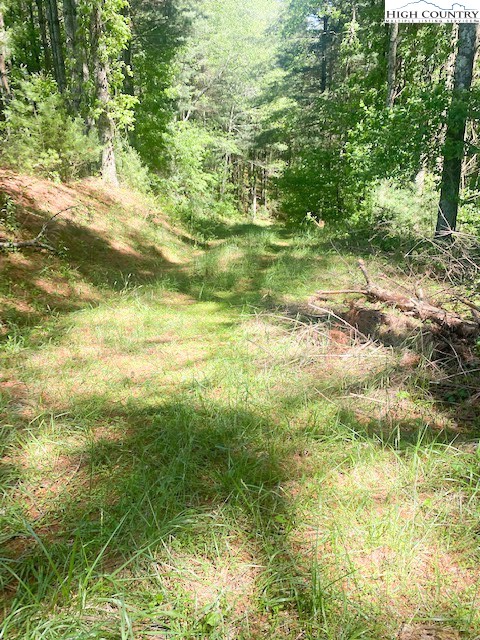 Tbd Hwy. 21 South Property Photo 28