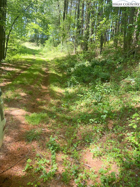 Tbd Hwy. 21 South Property Photo 29