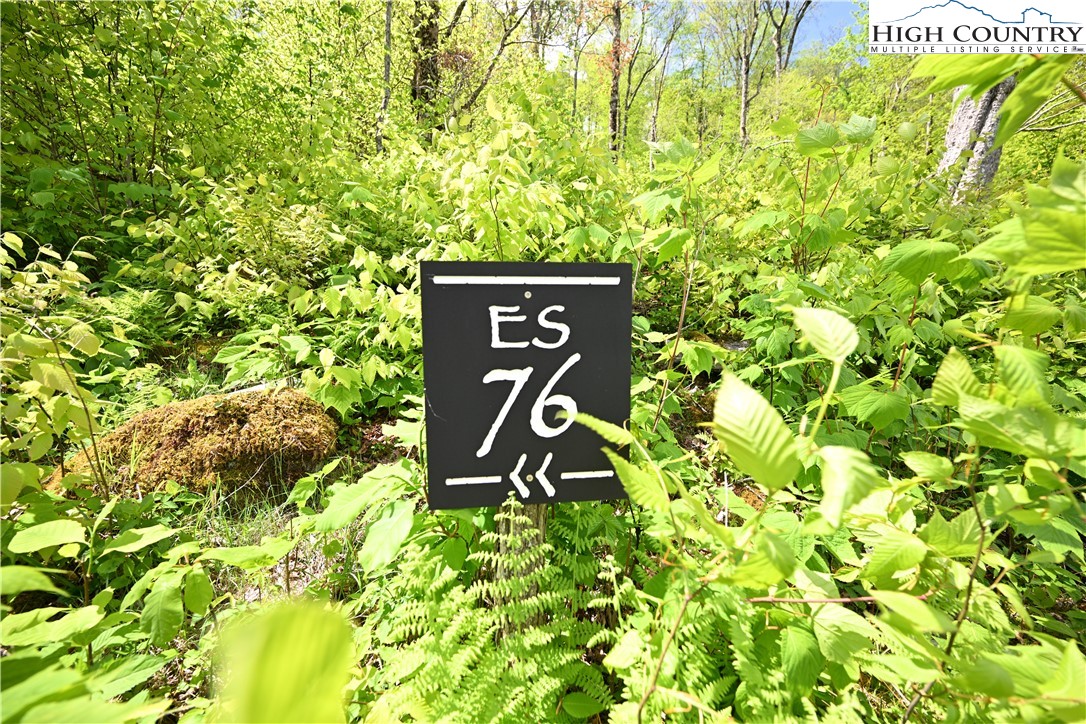 Es76 Lands End Trail Property Photo 4