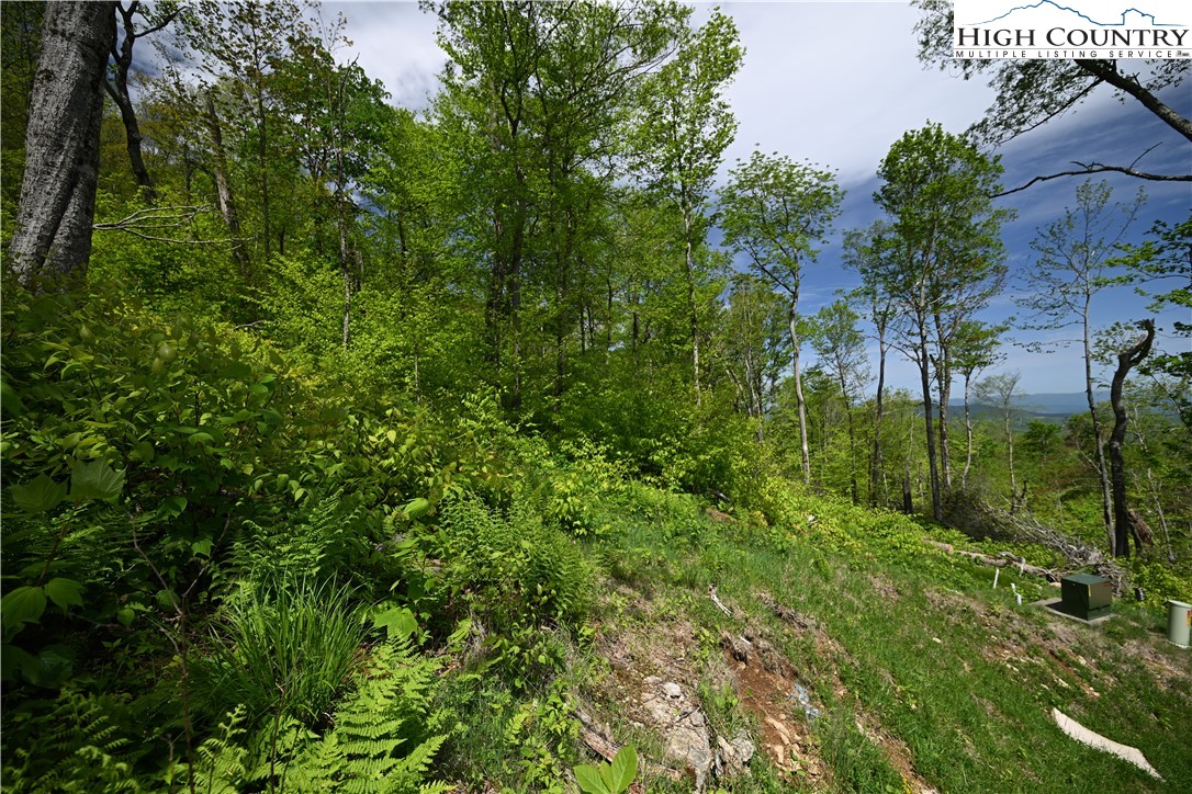 Es76 Lands End Trail Property Photo 5