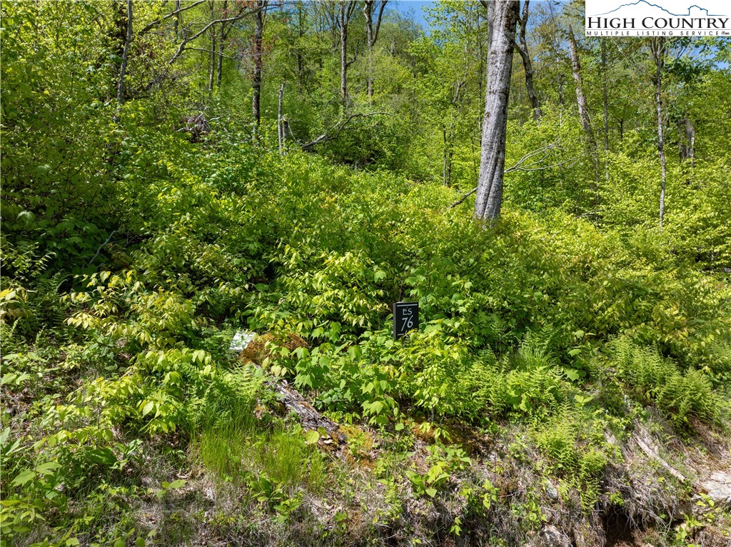 Es76 Lands End Trail Property Photo 17