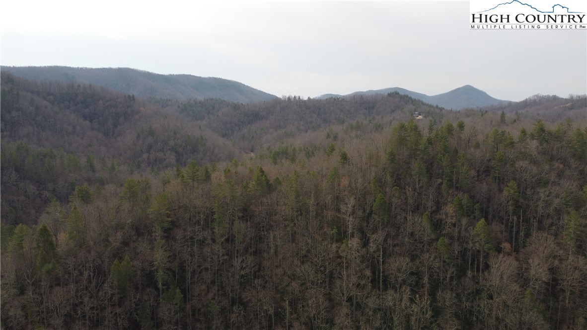 0 Elk Creek Darby Road Property Photo 1