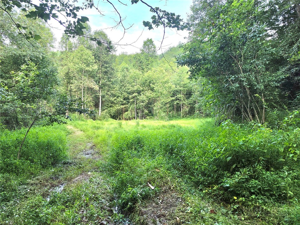 0 Elk Creek Darby Road Property Photo 1