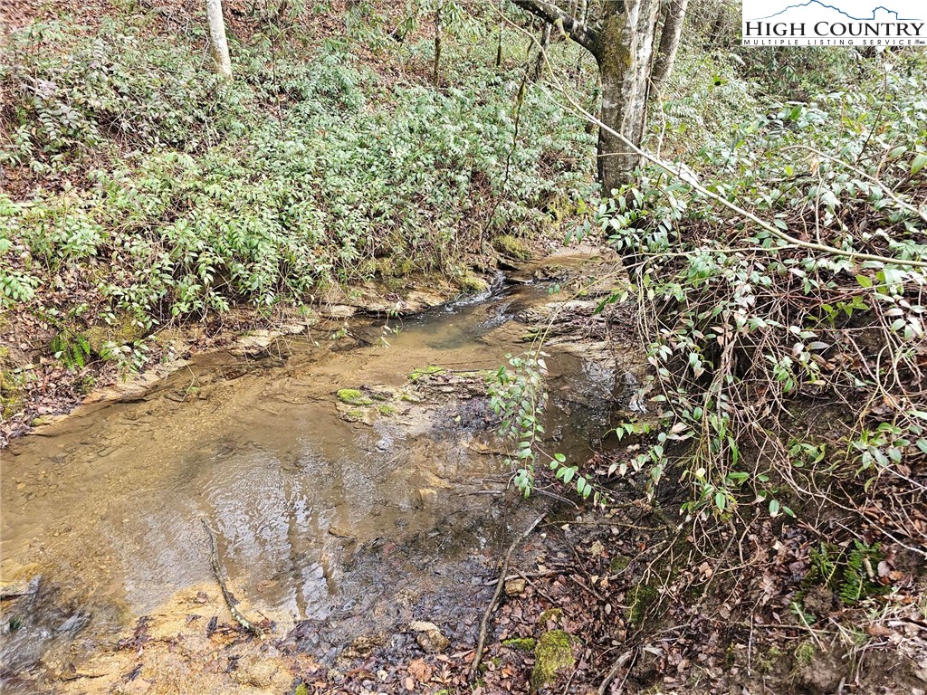 0 Elk Creek Darby Road Property Photo 2