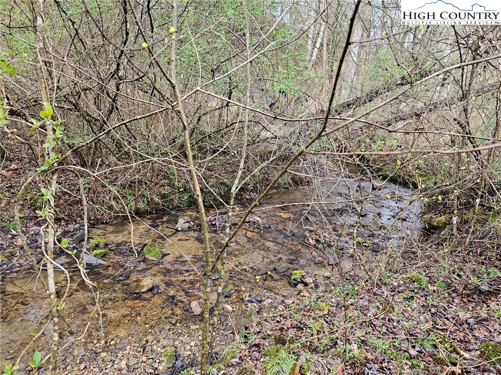 0 Elk Creek Darby Road Property Photo 3