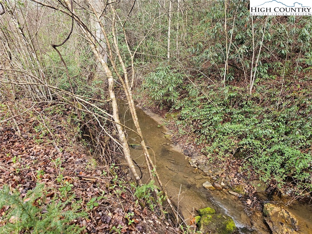 0 Elk Creek Darby Road Property Photo 4