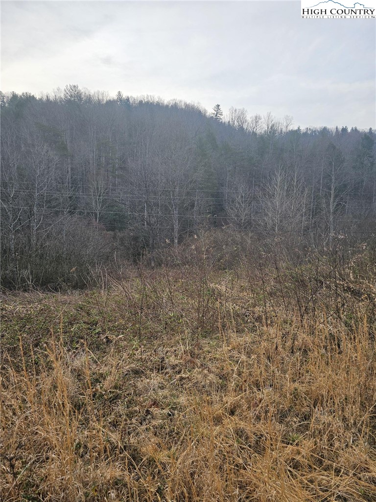 0 Elk Creek Darby Road Property Photo 5
