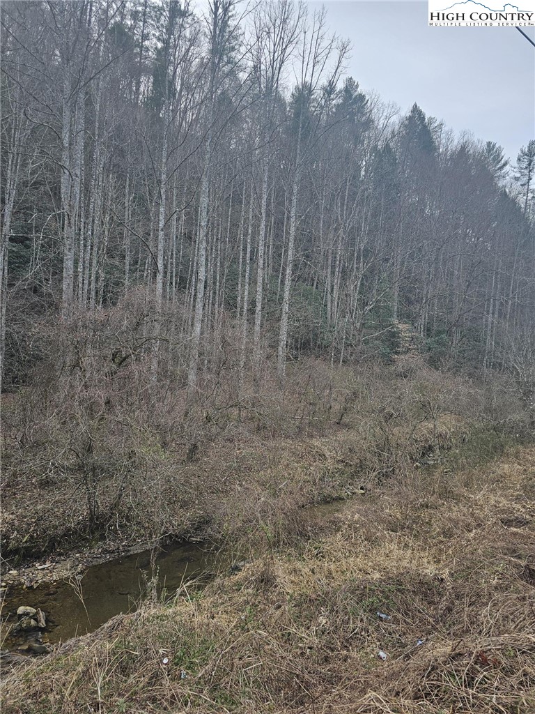 0 Elk Creek Darby Road Property Photo 6