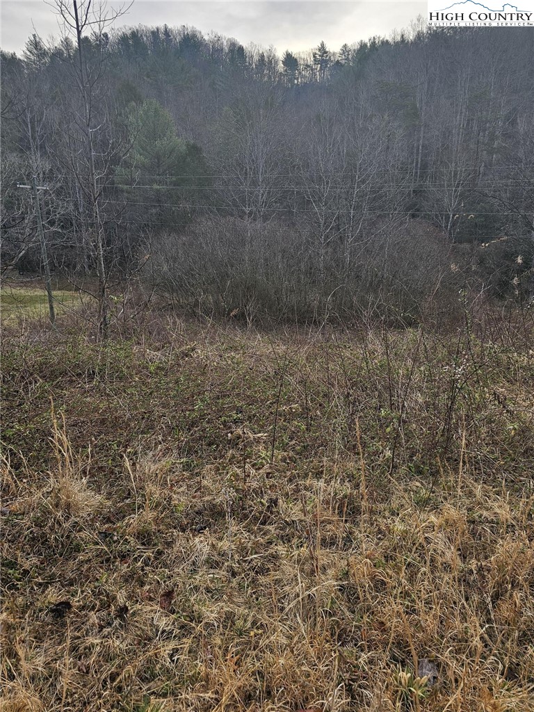 0 Elk Creek Darby Road Property Photo 7
