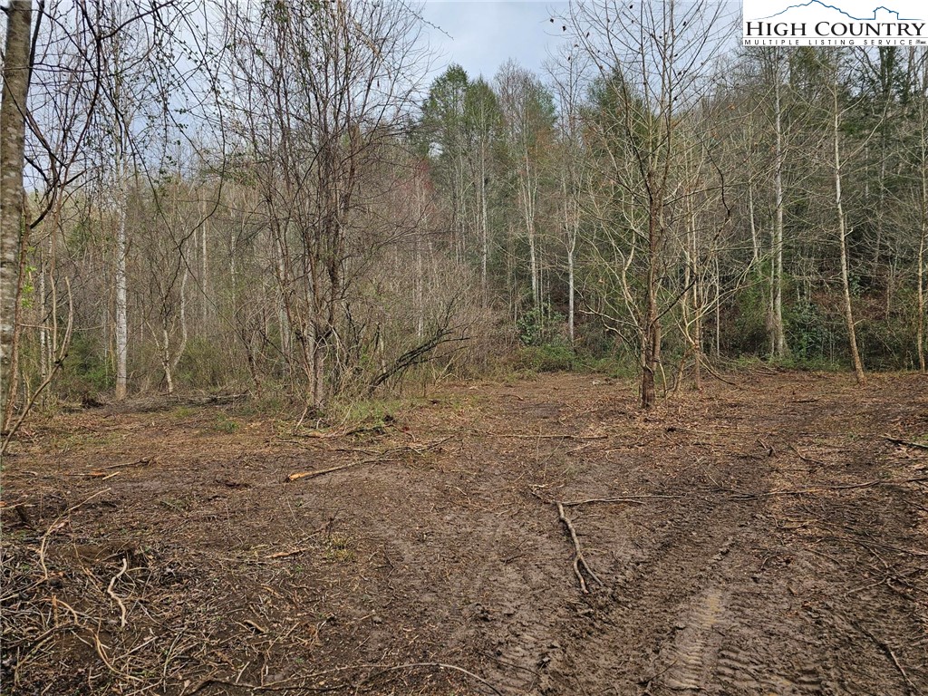 0 Elk Creek Darby Road Property Photo 8