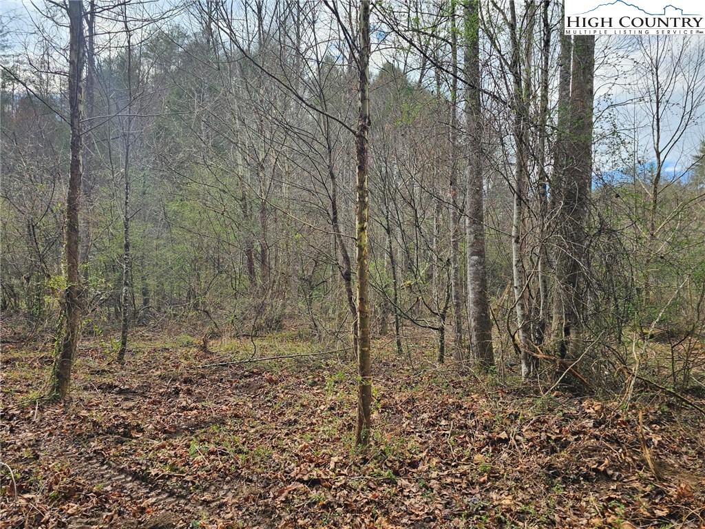 0 Elk Creek Darby Road Property Photo 9