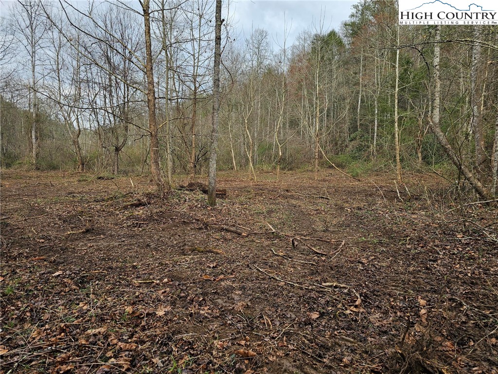 0 Elk Creek Darby Road Property Photo 10