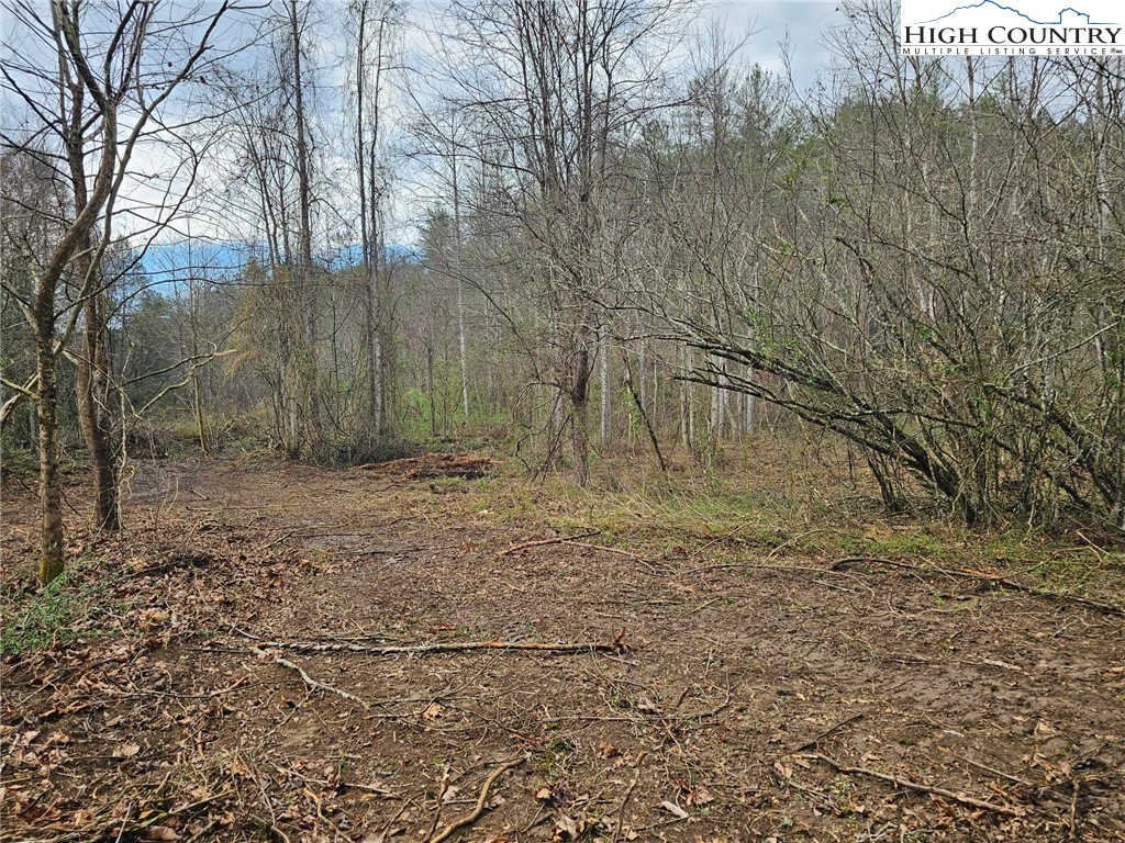 0 Elk Creek Darby Road Property Photo 11