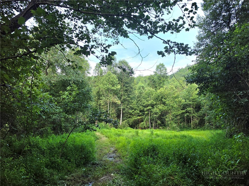 0 Elk Creek Darby Road Property Photo 12