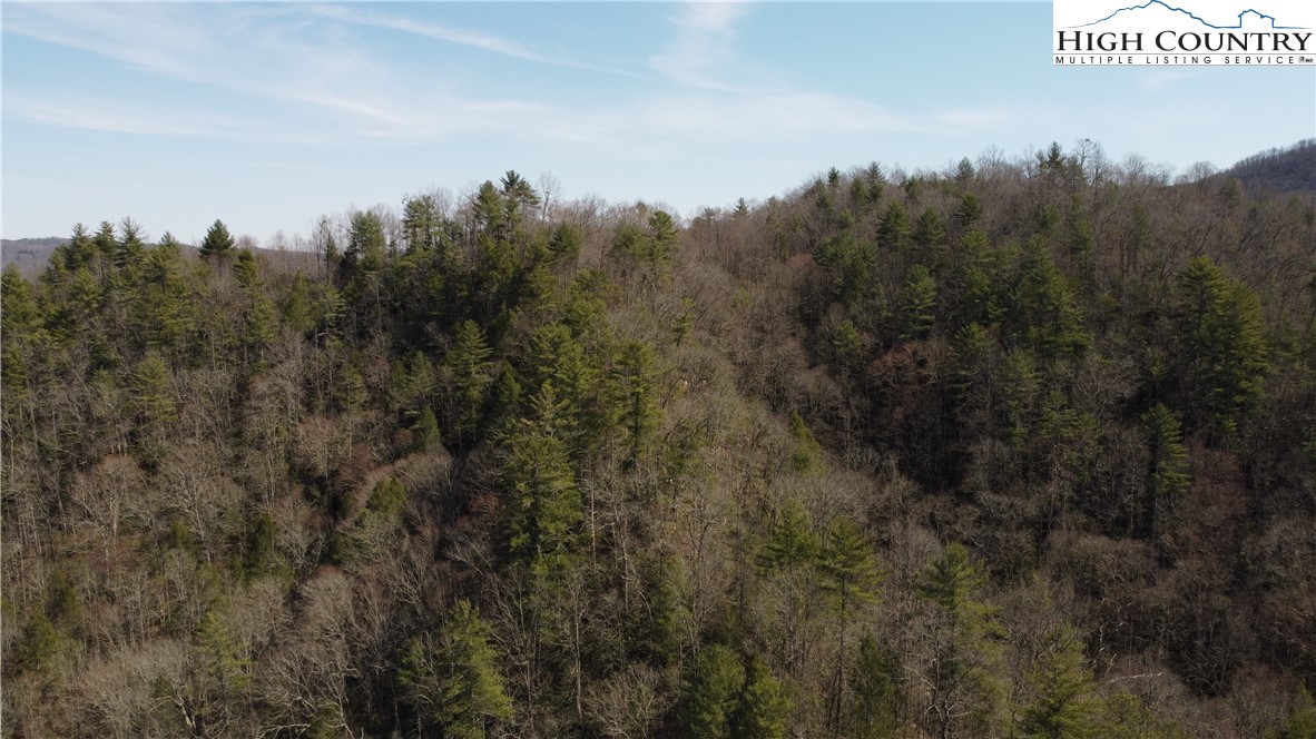 0 Elk Creek Darby Road Property Photo 15